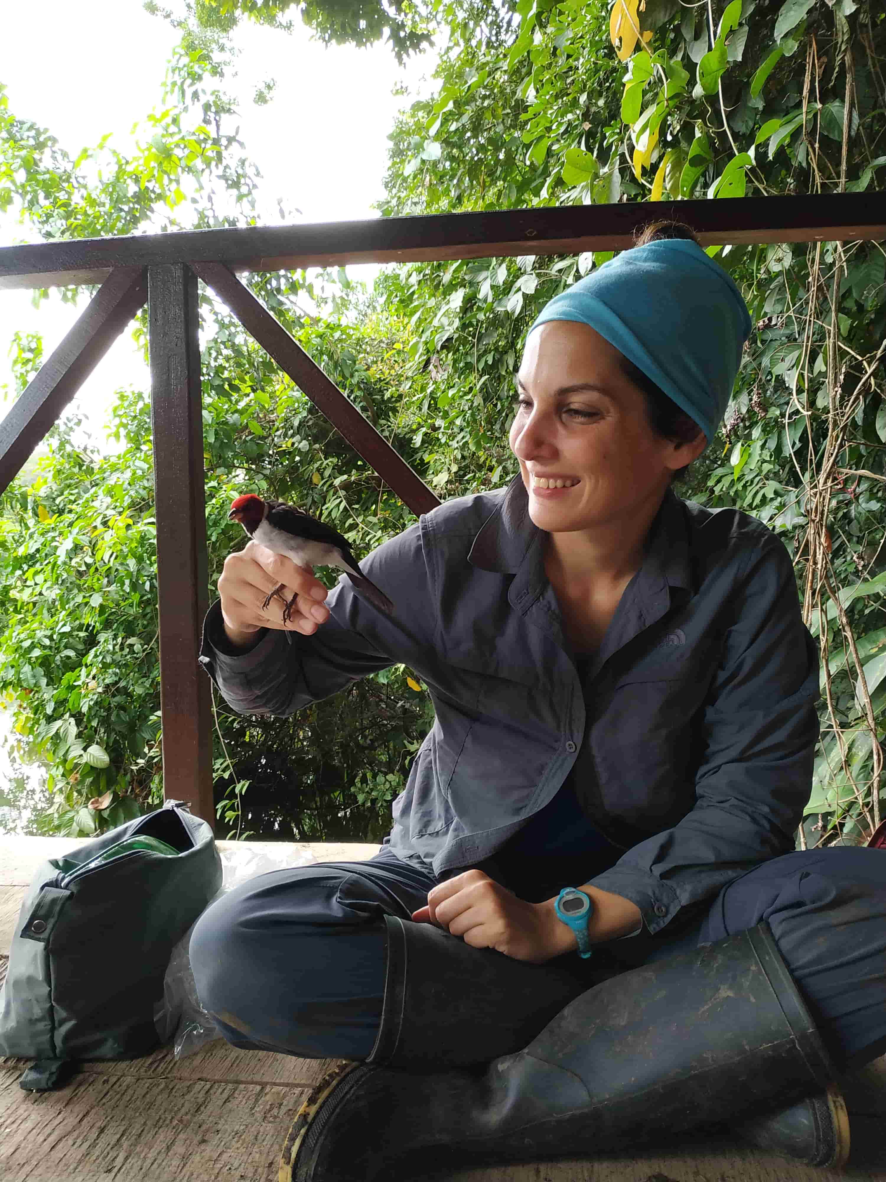 Dr. Tali Magory Cohen